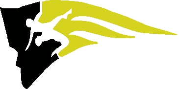 A Pioneer High School sports logo